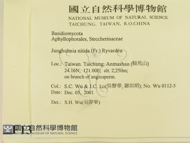 登錄號:F0013821藏品圖，第2張