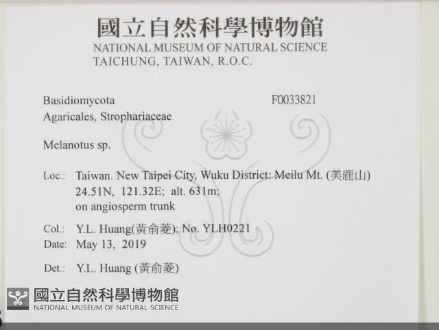 登錄號:F0033821藏品圖，第2張