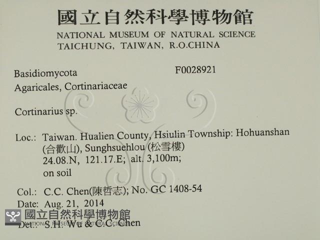 登錄號:F0028921藏品圖，第2張