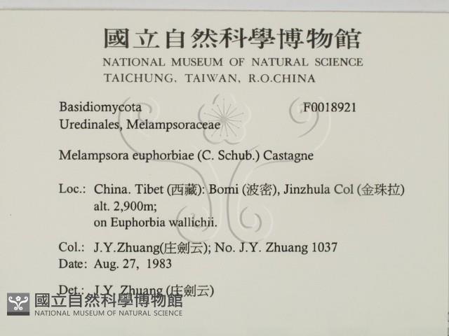 登錄號:F0018921藏品圖，第2張