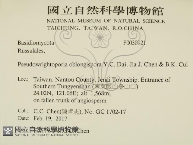 登錄號:F0030921藏品圖，第2張