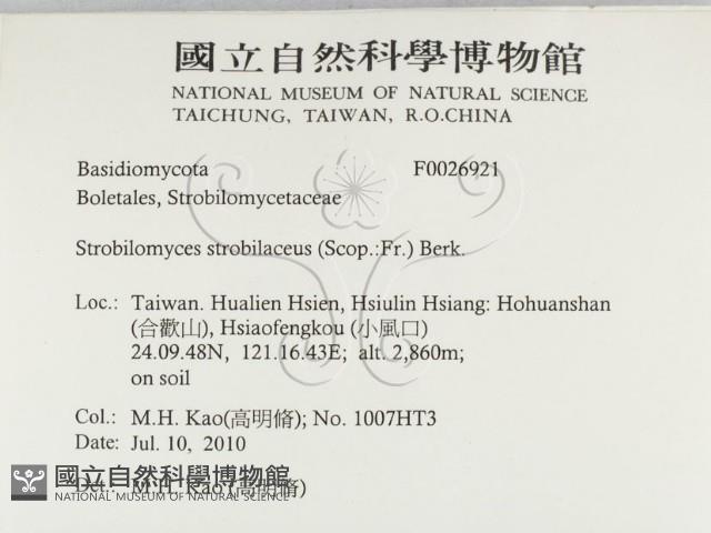 登錄號:F0026921藏品圖，第2張