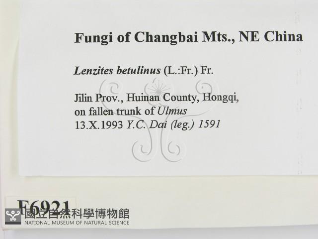 登錄號:F0006921藏品圖，第2張