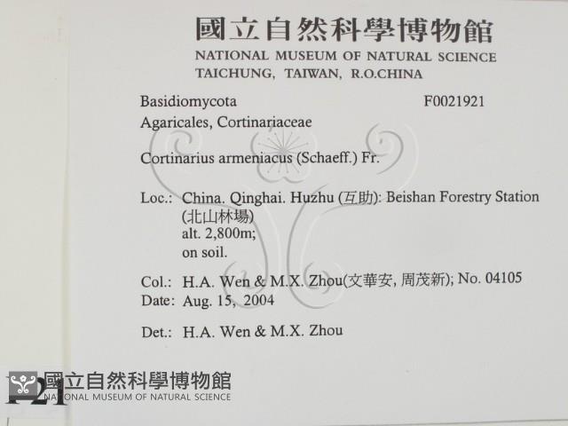 登錄號:F0021921藏品圖，第2張