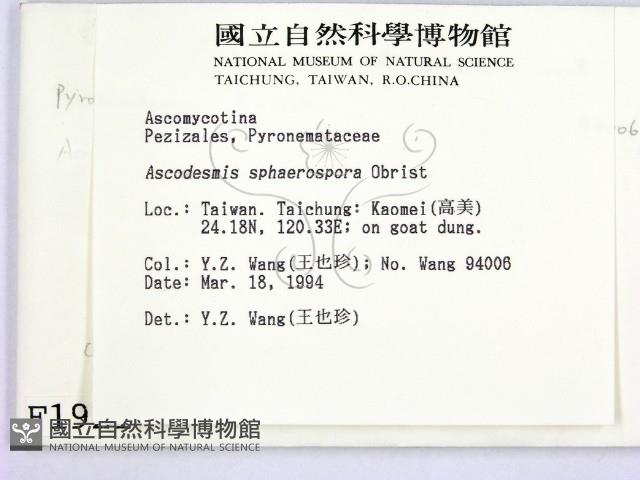 登錄號:F0001921藏品圖，第2張
