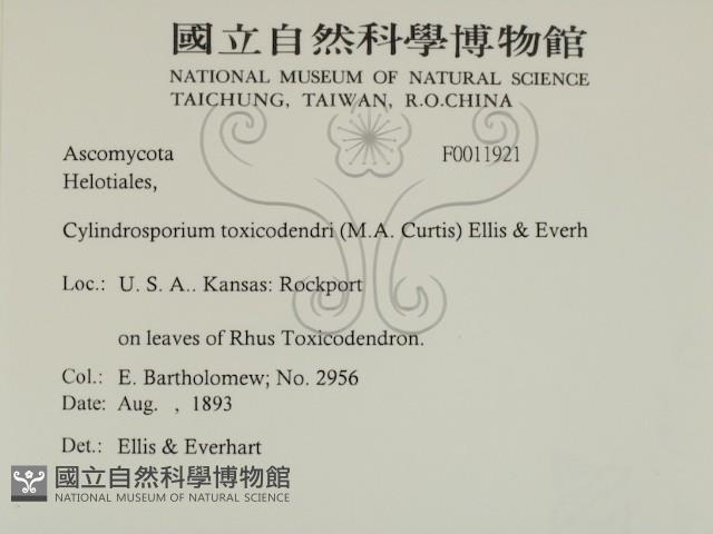 登錄號:F0011921藏品圖，第2張