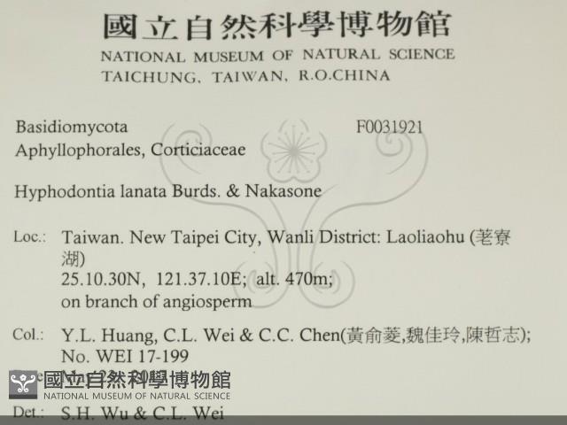 登錄號:F0031921藏品圖，第2張
