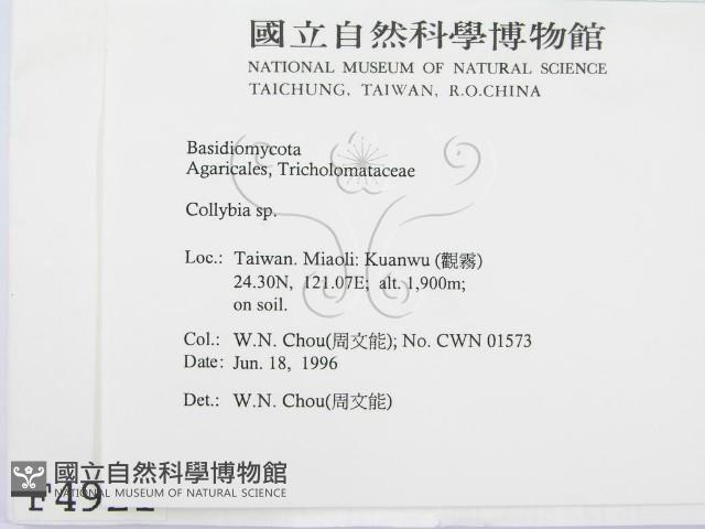 登錄號:F0004921藏品圖，第2張