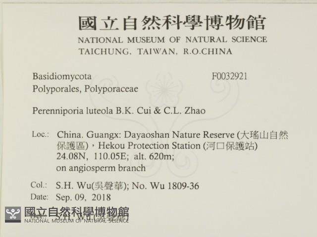 登錄號:F0032921藏品圖，第2張