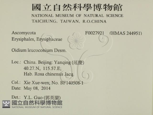 登錄號:F0027921藏品圖，第2張