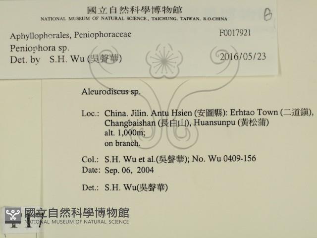 筍殼菌屬藏品圖，第2張