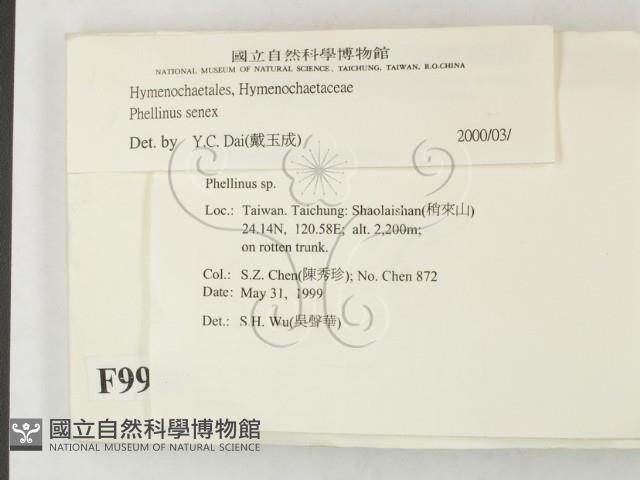 登錄號:F0009921藏品圖，第2張