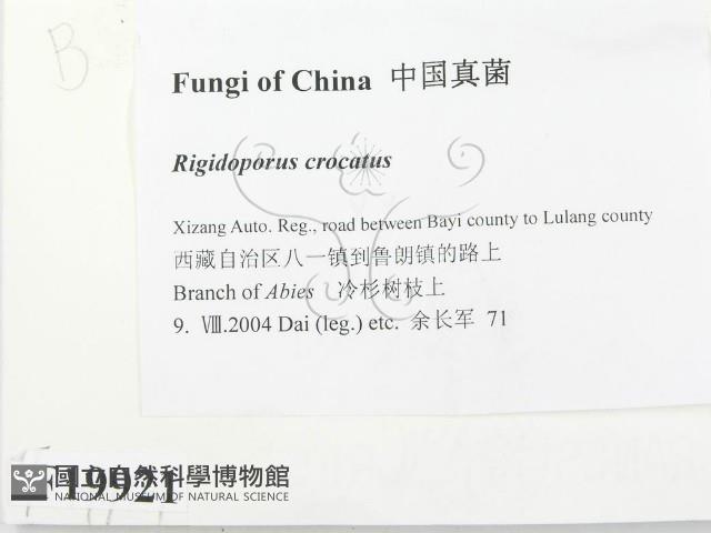 登錄號:F0019921藏品圖，第2張