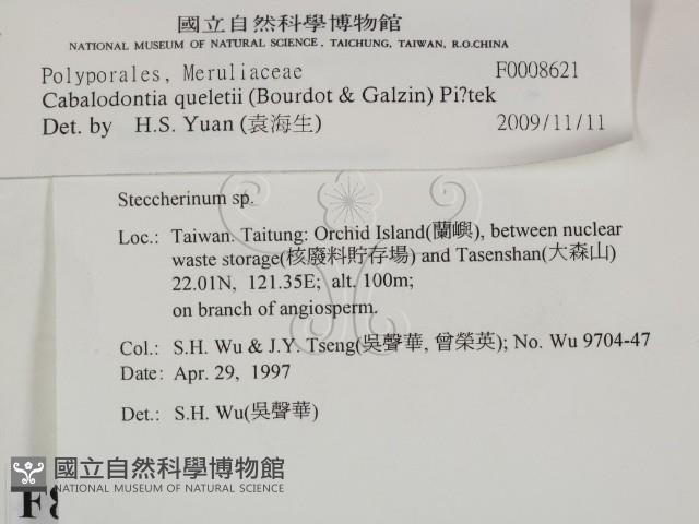 登錄號:F0008621藏品圖，第2張