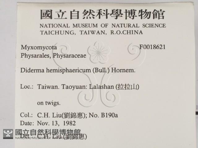 登錄號:F0018621藏品圖，第2張