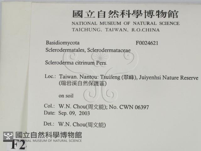 登錄號:F0024621藏品圖，第2張