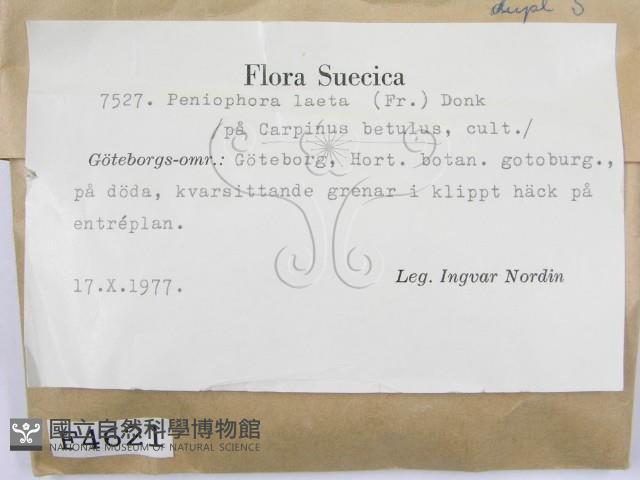 登錄號:F0004621藏品圖，第2張