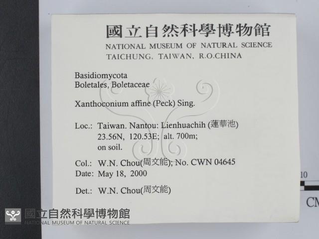 登錄號:F0014621藏品圖，第2張