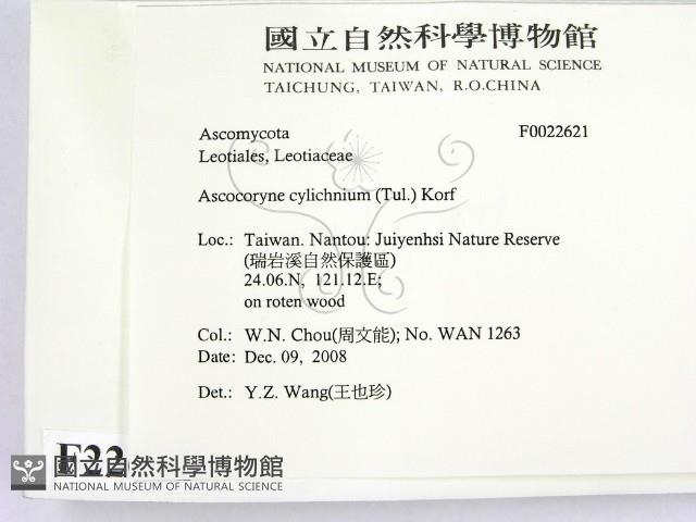 登錄號:F0022621藏品圖，第2張