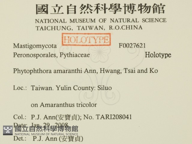 登錄號:F0027621藏品圖，第2張