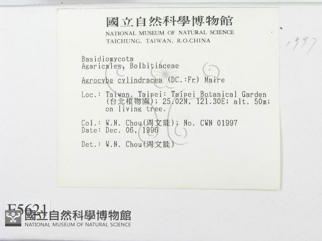 登錄號:F0005621藏品圖，第2張
