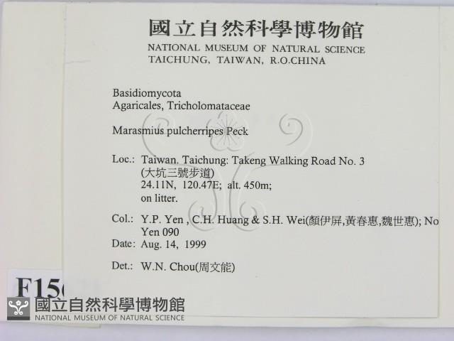 登錄號:F0015621藏品圖，第2張