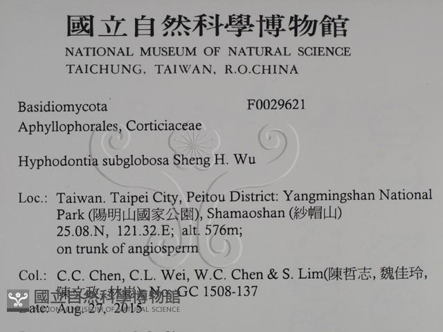 登錄號:F0029621藏品圖，第2張