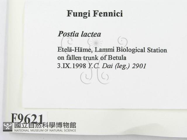 登錄號:F0009621藏品圖，第2張