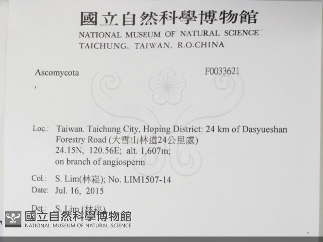 登錄號:F0033621藏品圖，第2張