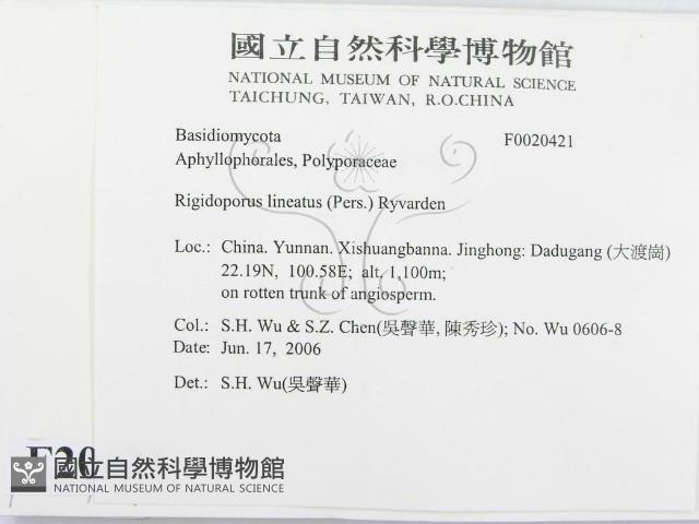 登錄號:F0020421藏品圖，第2張