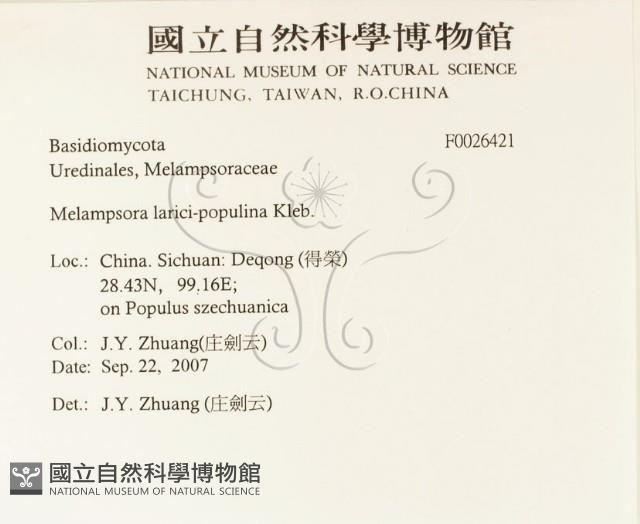 登錄號:F0026421藏品圖，第2張