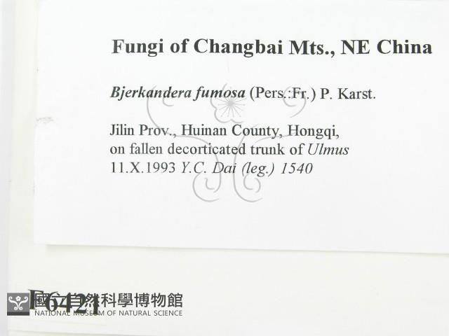 登錄號:F0006421藏品圖，第2張
