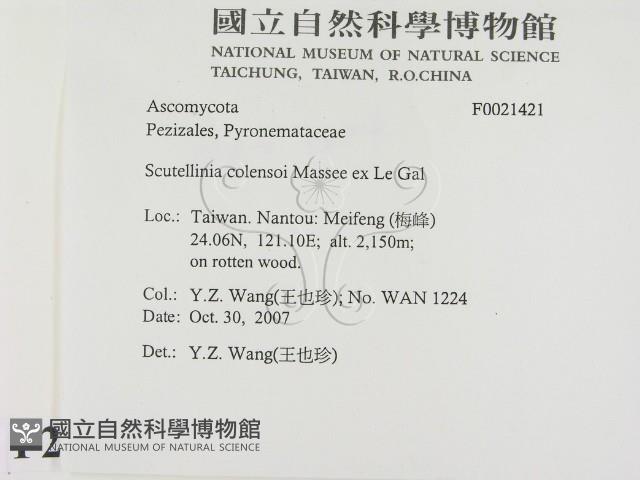 登錄號:F0021421藏品圖，第2張