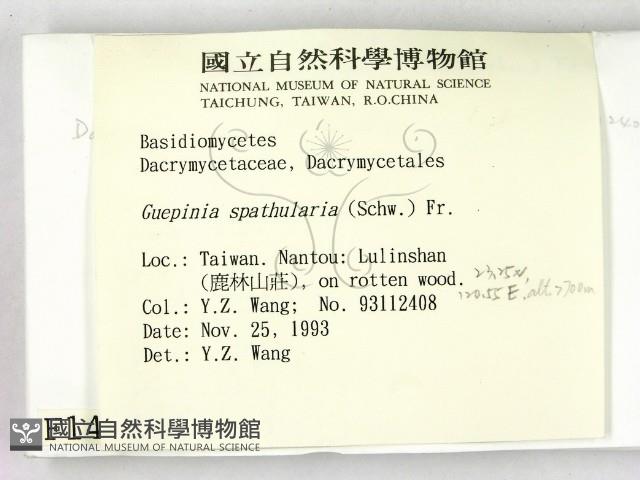 登錄號:F0001421藏品圖，第2張