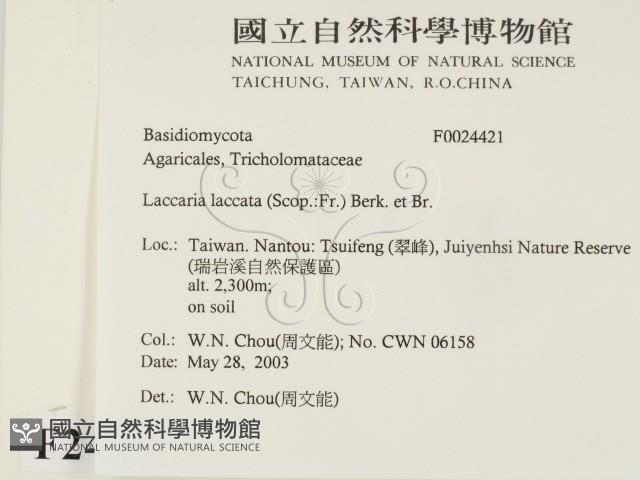 登錄號:F0024421藏品圖，第2張