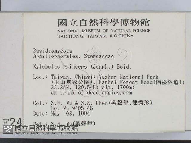 登錄號:F0002421藏品圖，第2張