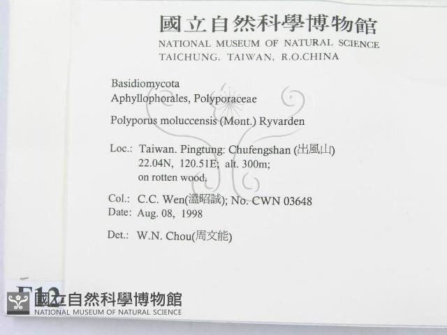 登錄號:F0012421藏品圖，第2張