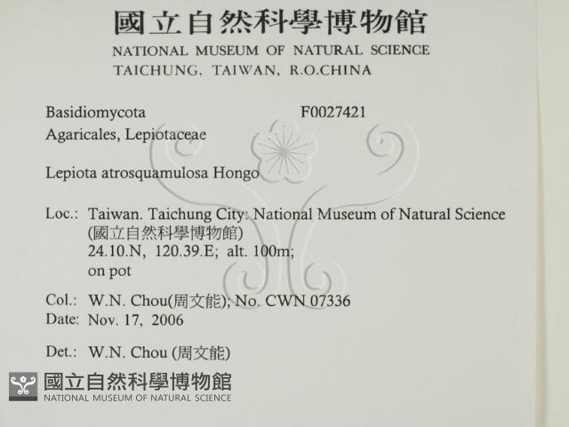 登錄號:F0027421藏品圖，第2張