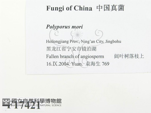 登錄號:F0017421藏品圖，第2張