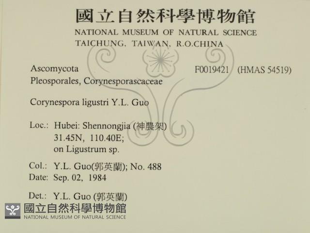 登錄號:F0019421藏品圖，第2張