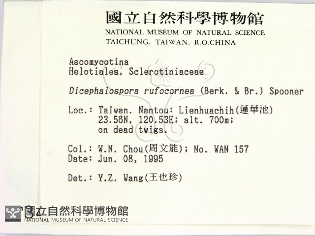 登錄號:F0003421藏品圖，第2張