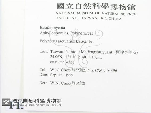 登錄號:F0013421藏品圖，第2張