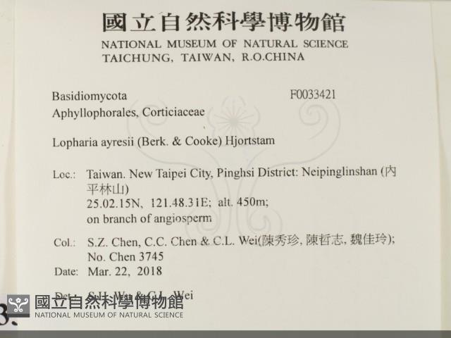 登錄號:F0033421藏品圖，第2張