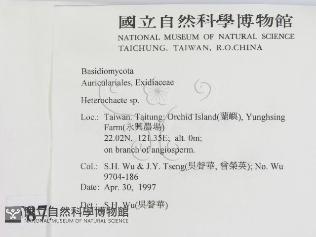 刺皮菌屬藏品圖，第2張