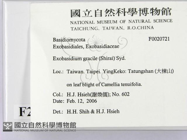 登錄號:F0020721藏品圖，第2張