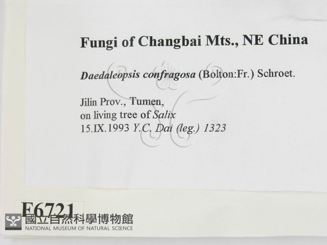 登錄號:F0006721藏品圖，第2張