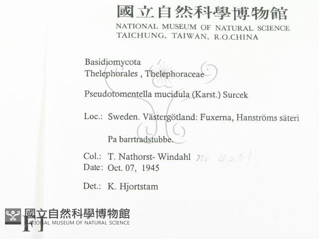 登錄號:F0016721藏品圖，第2張