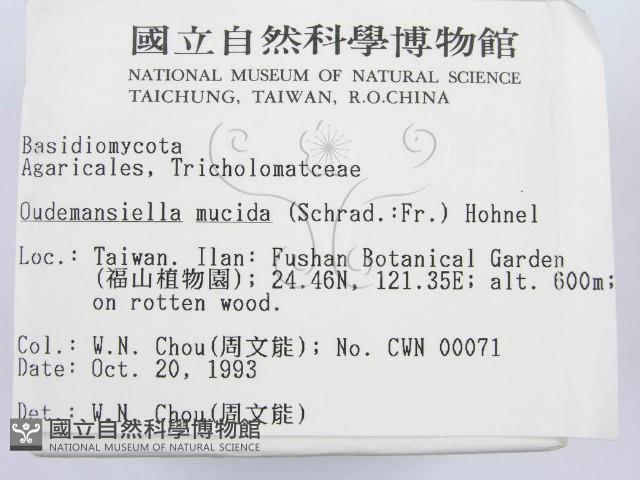 登錄號:F0001721藏品圖，第2張