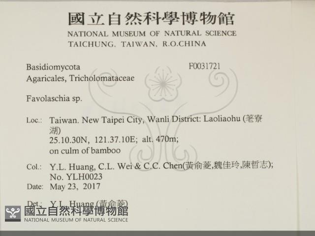 登錄號:F0031721藏品圖，第2張