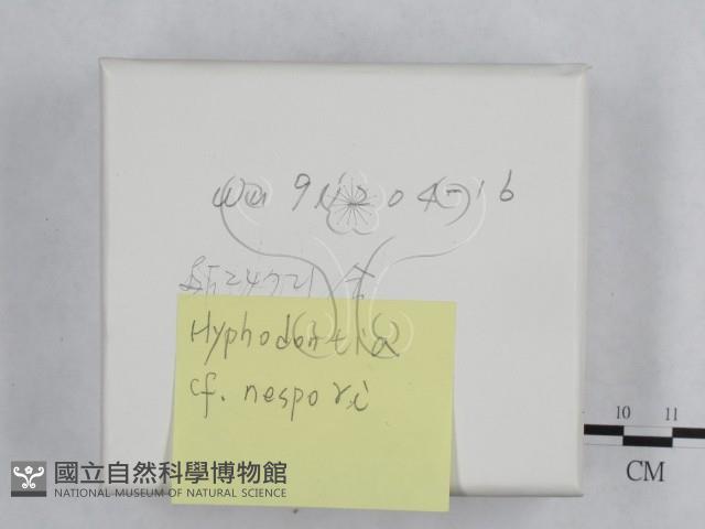 登錄號:F0024721藏品圖，第2張
